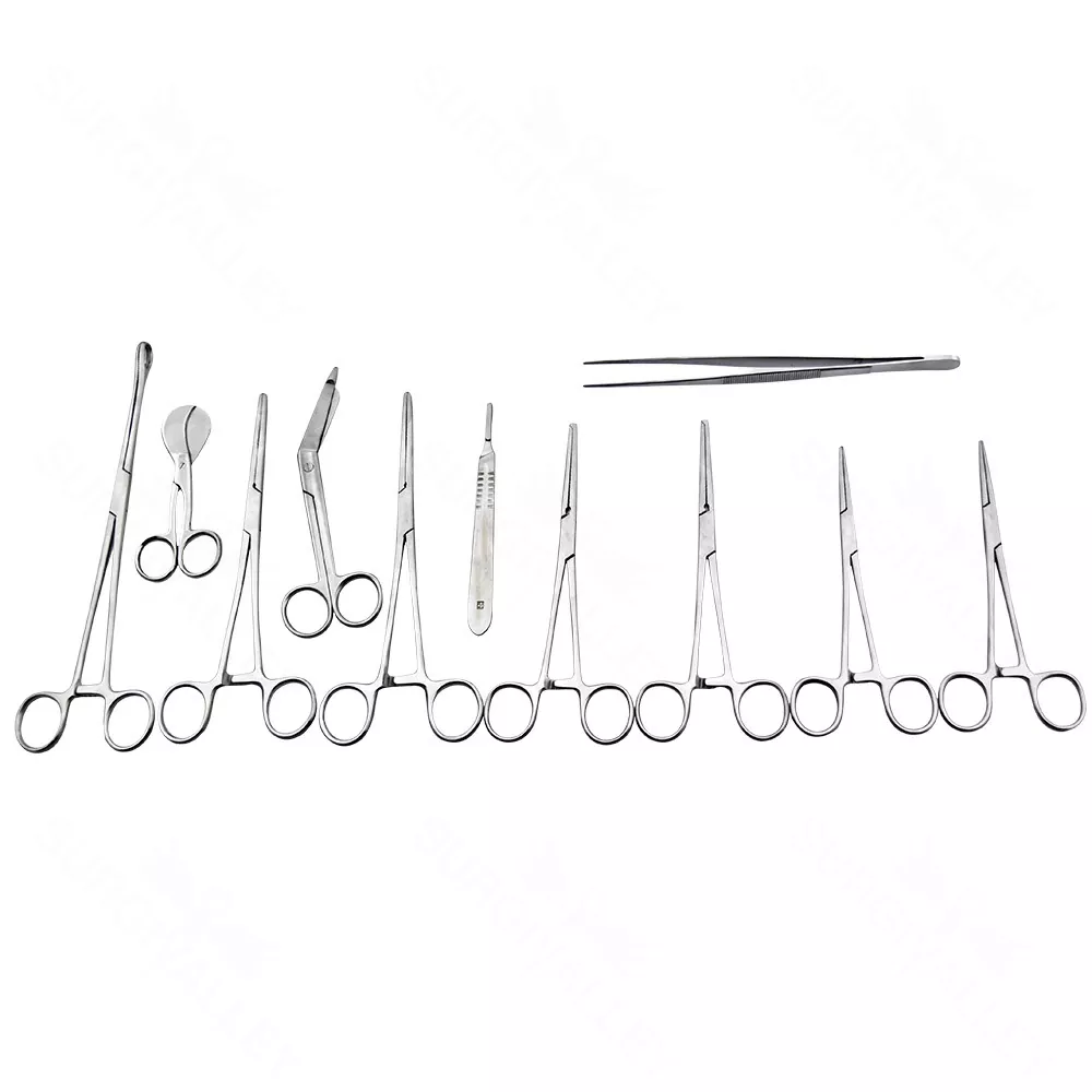 Basic Delivery Set Of 16 Pieces Surgical Instruments