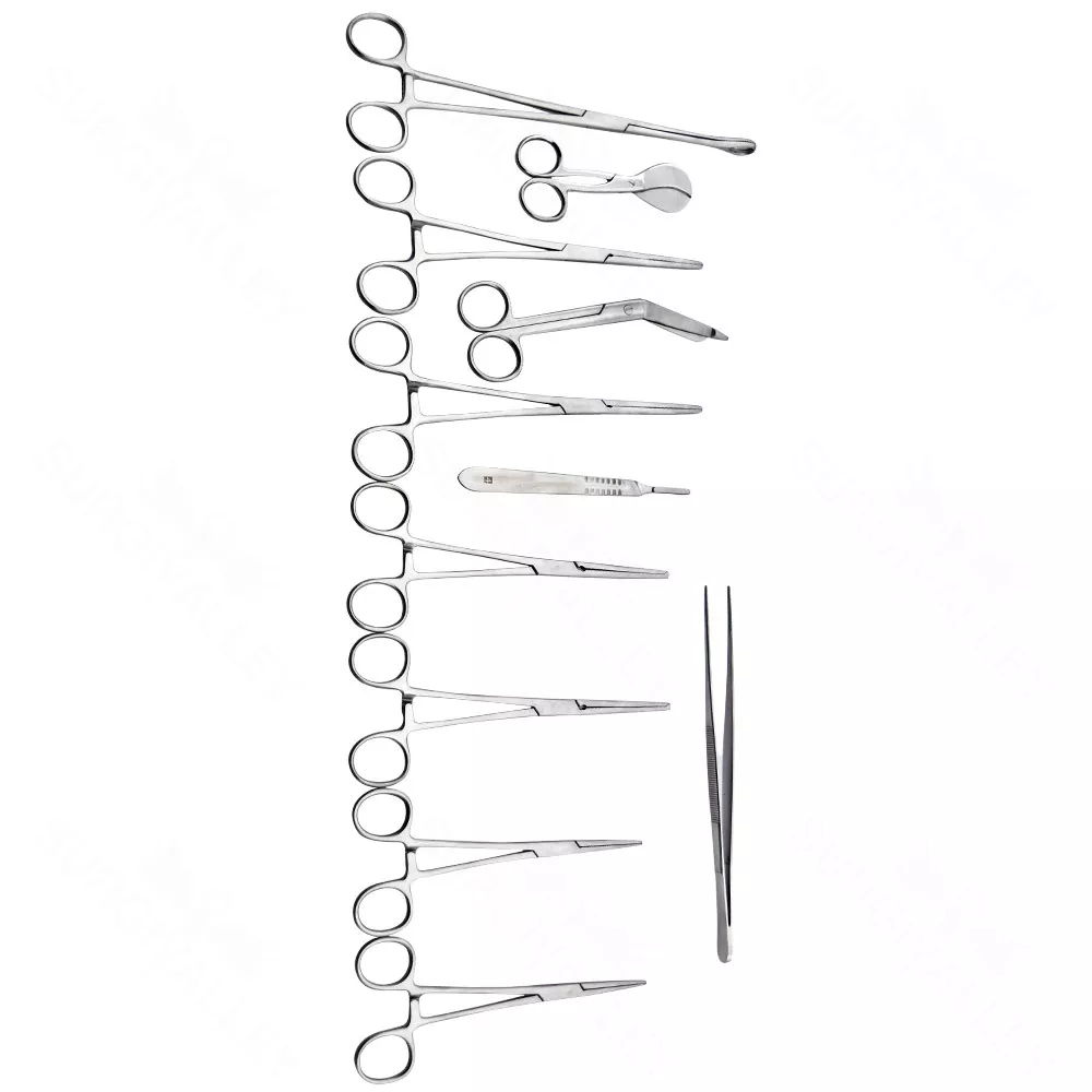 Basic Delivery Set Of 16 Pieces Surgical Instruments