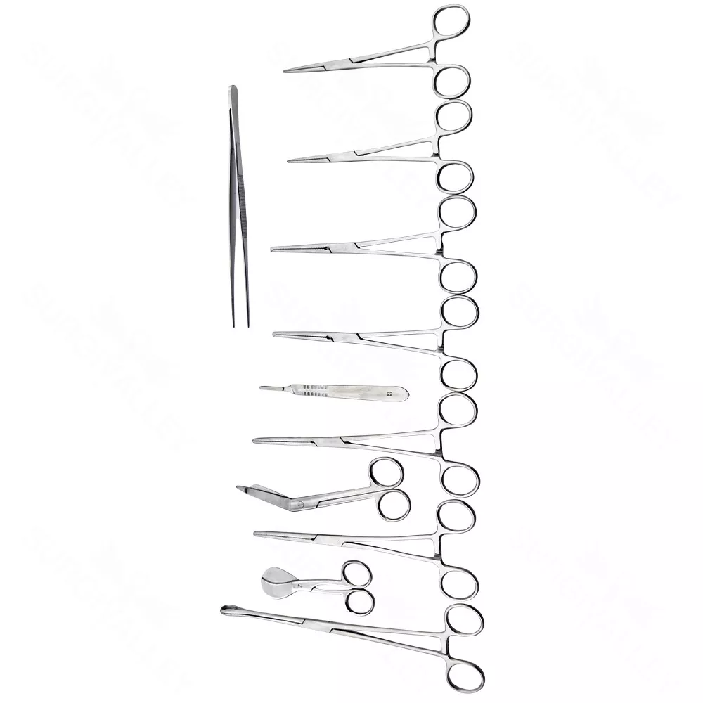 Basic Delivery Set Of 16 Pieces Surgical Instruments