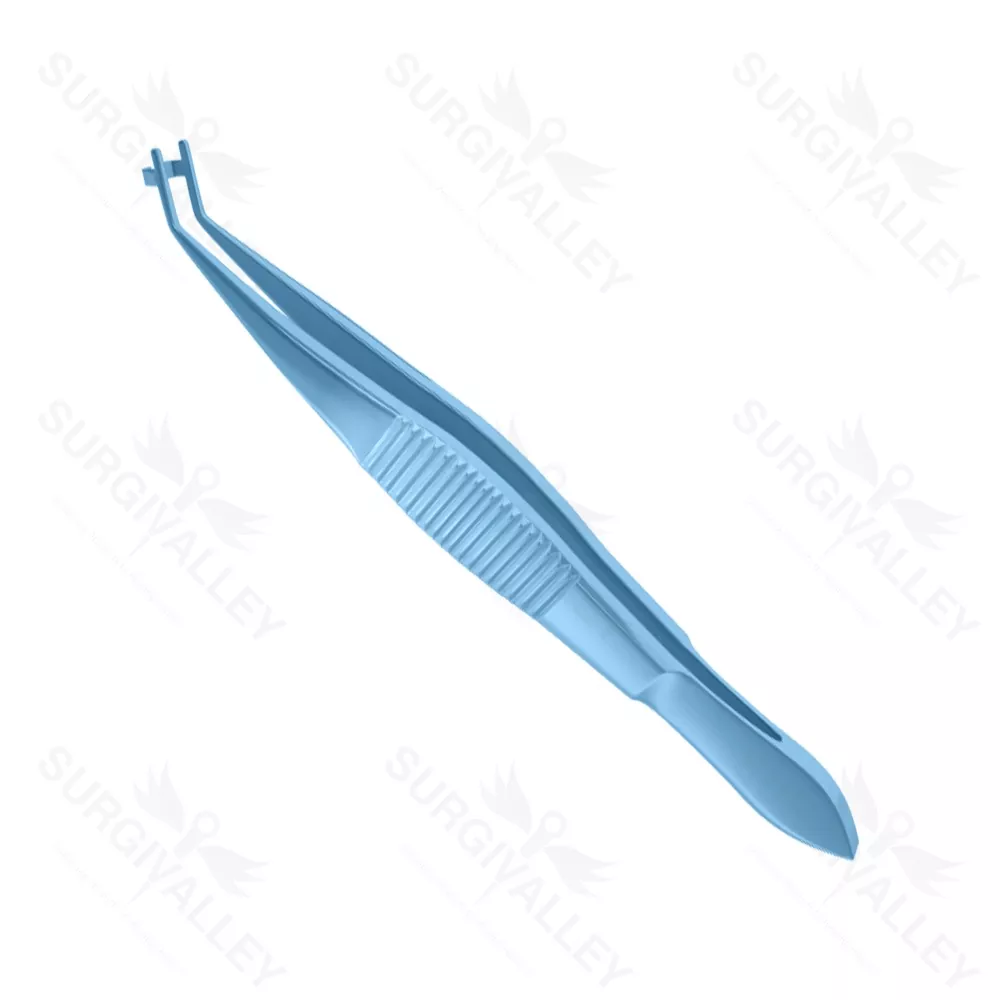 Steinert Paddle Lens Folding Forceps