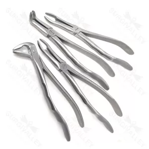 Root Tip Extracting Forceps Set Dental Instruments – surgivalley (SV-10-2140)