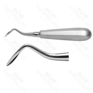 Canine Root Dental Elevator Left – surgivalley (SV-10-2311)